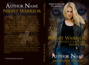 Night Warrior One